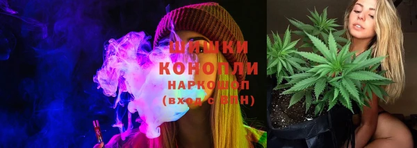 apvp Гусев
