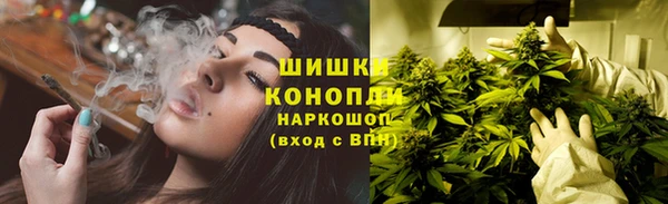 меф Вяземский