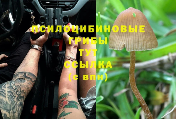 соль ск Вязники