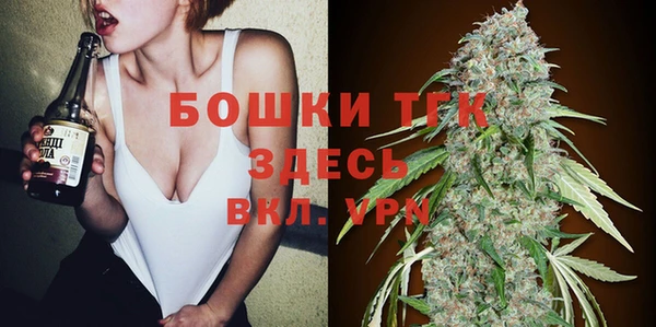 меф Вяземский