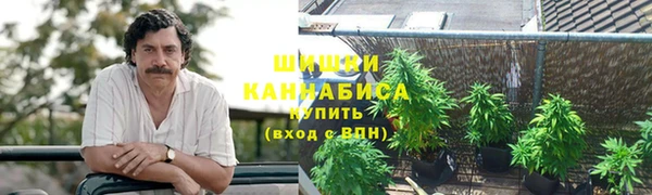 меф Вяземский