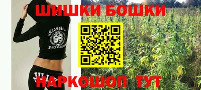крисы Рязань