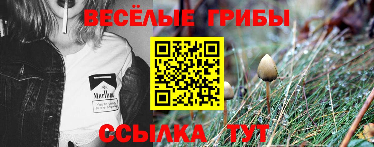 Псилоцибиновые грибы ЛСД Дагестанские Огни
