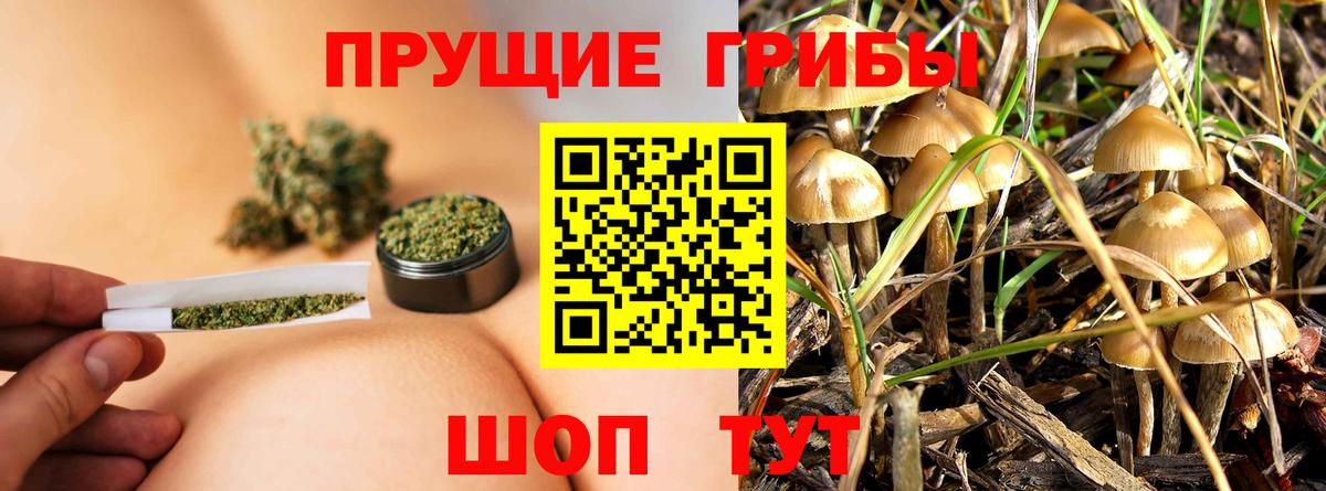 Псилоцибиновые грибы MAGIC MUSHROOMS  Вход с VPN  как найти наркотики  Дагестанские Огни 