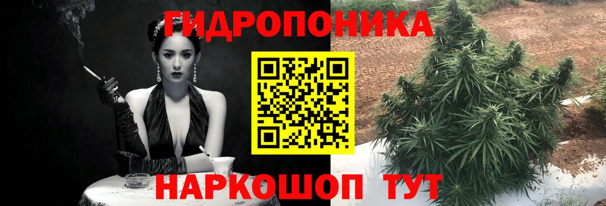 Конопля план  Шишки марихуана LSD WEED  Вход с VPN  Конопля марихуана  Дагестанские Огни 